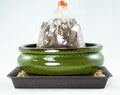 6 inch Oval Moss Green Glazed Bonsai / Succulent Pot + Soil + Tray + Rock + Mesh Kit