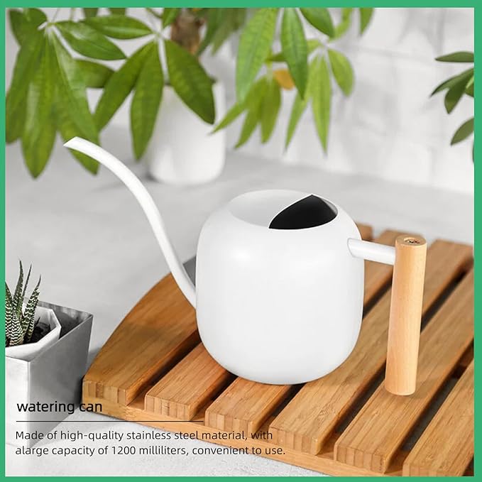 Indoor Watering Can with Long Spout, 40oz Capacity, White Metal with Wood Handle,Plant Mister Spray Bottle (White-W2)