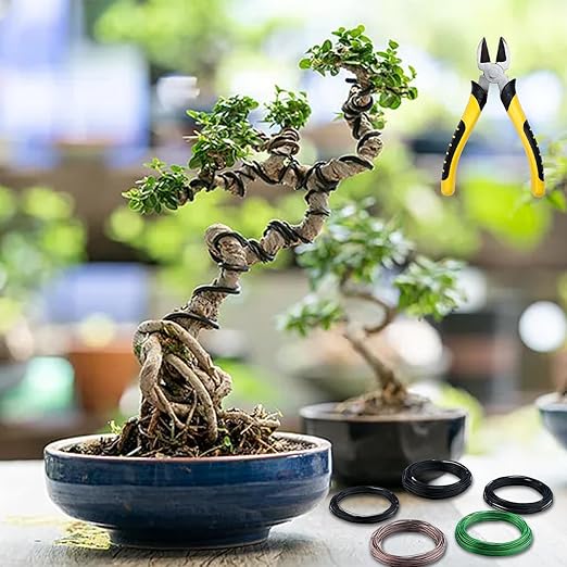 5 Roll Bonsai Wires, Anodized Aluminum Bonsai Training Wire with Wire Cutter, 3 Colors and 3 Sizes (1mm, 1.5mm, 2mm), Total 160 Feet, Aluminum Wires for Indoor Garden Small Trunks DIY Tools