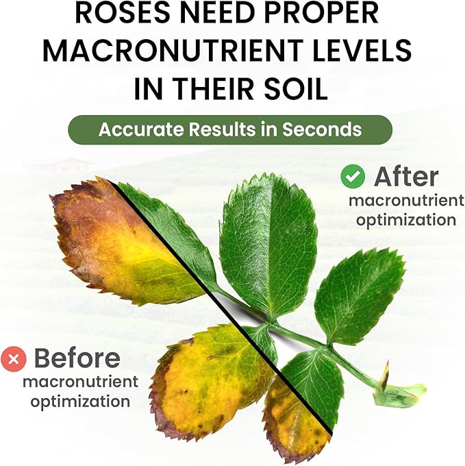 Complete Soil Test Kit – Measures pH, Nitrogen, Phosphorus & Potassium | 100+ Tests for Garden, Lawn & Flower Beds | Easy At-Home Soil Analysis Kit | Leaping Lynx