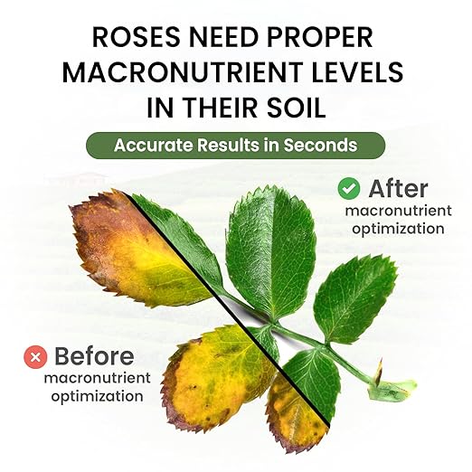 Super Soil Complete Garden Soil Test Kit – Easy to Use for Garden Nutrients, pH, Nitrogen, Phosphorous, & Potassium – Soil Testing Kit for Gardening – Lab at Your Fingertips