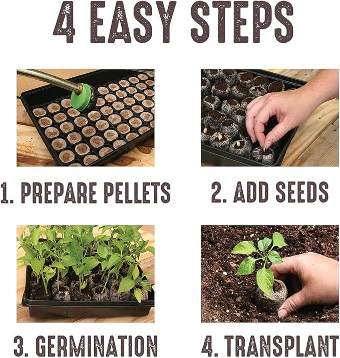 Ferry Morse Jiffy Seed Starting Greenhouse Tray Kit with 72 36mm Peat Pellets and Bonus SUPERthrive Sample + Plant Markers, 2 Pack, 144 Pellets Total