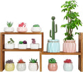 5 Tiered Small Window Plant Shelf,Wooden Desktop Plant Stand Indoor ,Table Top Plants Shelves,Window Sill Shelf for Plants Lovers,Succulent, Countertop Plant Rack Holder