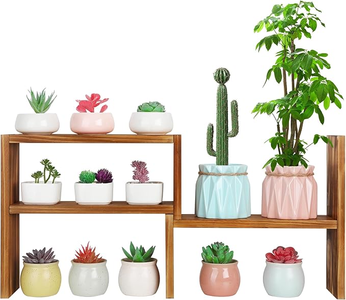 5 Tiered Small Window Plant Shelf,Wooden Desktop Plant Stand Indoor ,Table Top Plants Shelves,Window Sill Shelf for Plants Lovers,Succulent, Countertop Plant Rack Holder