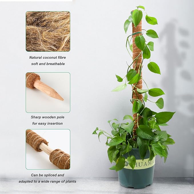 4 Pcs Moss Pole Monstera Plant Support, 15.75" Plant Support Stakes for Indoor Plants, Stackable Moss Poles Sticks Plant Poles for Climbing Plants Garden Potted Plants Pothos + Accessories