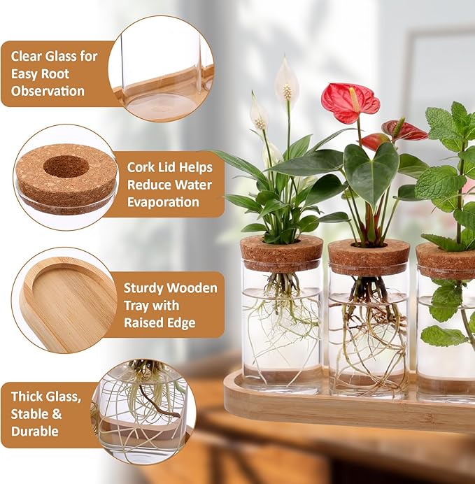 Zhehao 5 Pack Plant Propagation Station Hydroponic Glass Jar Terrarium with Cork Lids Bamboo Tray Desktop Planter for Rooting Cuttings Home Office Garden Decor