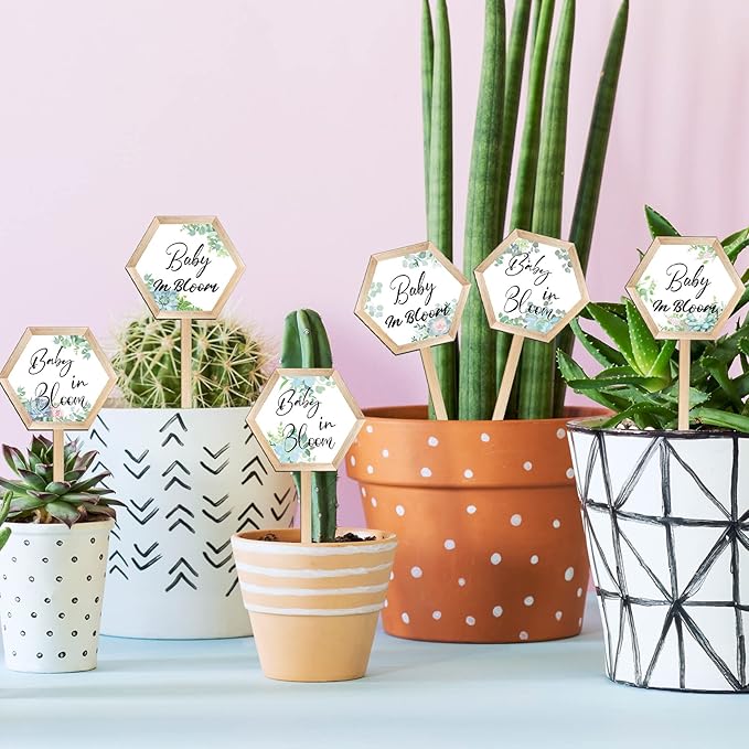 48 Pcs Baby in Bloom Succulent Tags Baby Shower Plant Stakes Labels Wooden Garden Marker Plant Signs for Succulent Markers Potted Flower (Baby Style)