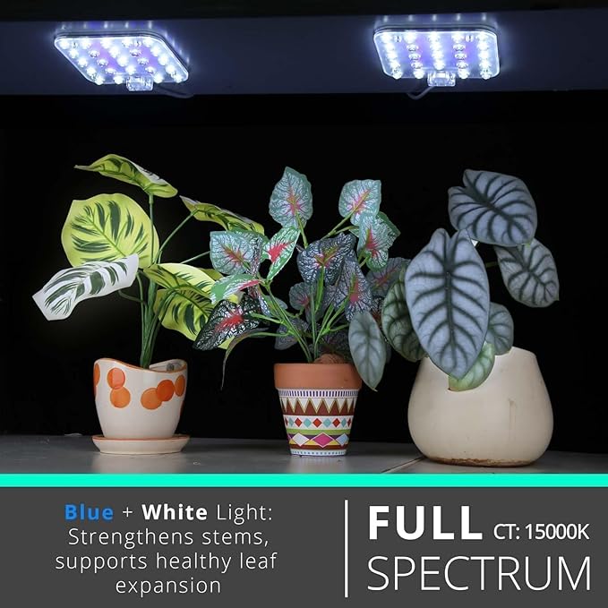 DOMMIA Full Spectrum LED Grow Light for Indoor Plants, 2 Panels 10W with 6/12/16h Timer Dimmable Plant Lights for Flower Veg Plant Growth USB, Bluish White, 1-Pack