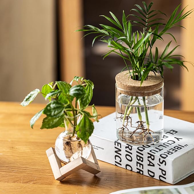 Plant Propagation Station, 2 Style Glass Planter Terrarium Set for Hydroponic Plants | Home Office Tabletop Decor, Gardening Gifts for Women, Mom, Plant Lovers (6)