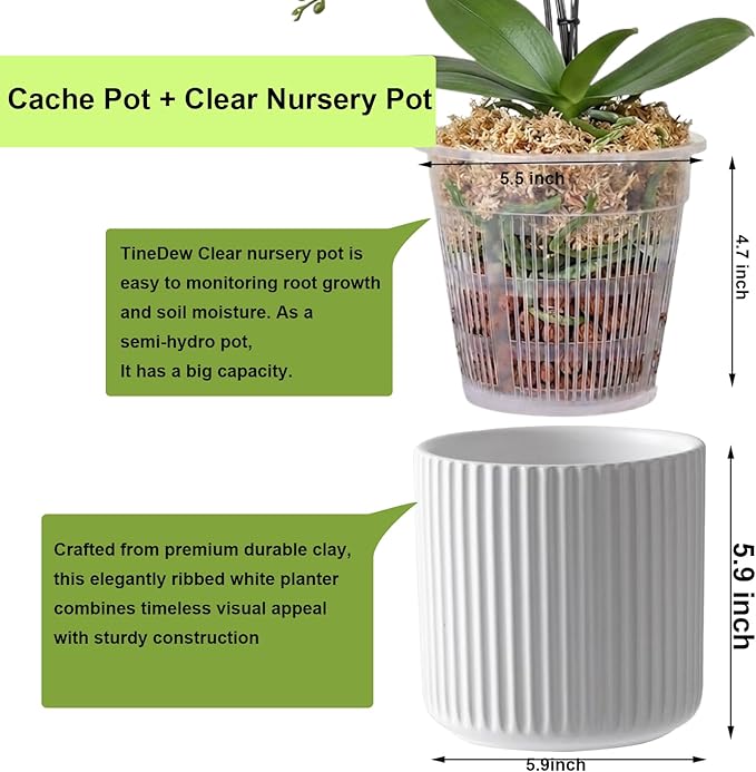 2 Pack of 6in Ceramic Cachepot with Clear Orchid Pot - self Watering Indoor Planter with Drainage for Root Visibility,semi Hydro pots for repotting Orchid,White