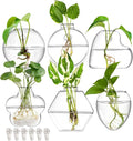 yarlung Set of 6 Wall Hanging Planter Terrarium, Clear Glass Plant Vase Wall Mount for Propagating Hydroponics Plant, Indoor Air Plants, Stylish 6 Shapes (Plants Not Included)