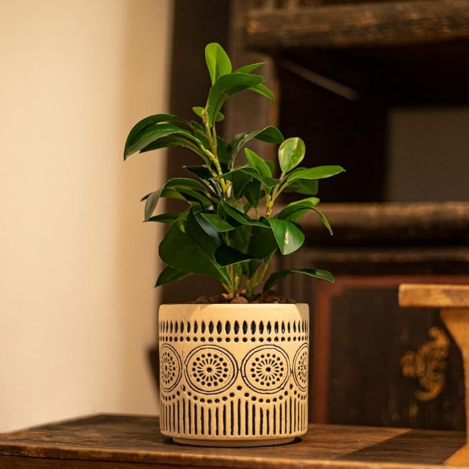Ceramic Planter 4 Inch Plant Pots Indoor Outdoor Succulent Plant Pot Flower Pots Mid-Century Planter Ceramic Pot