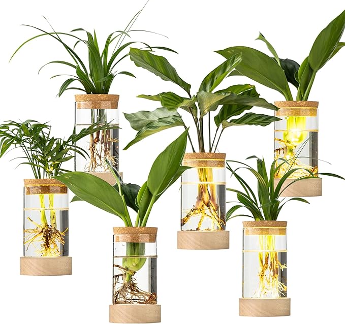 Glass Plant Propagation Stations, Propagation Vases for Plants with Ambient Light Base, Hydroponic Vase for Home & Office Windowsill Tabletop Decoration Desktop Vases for Living Room, Bedroom (6)
