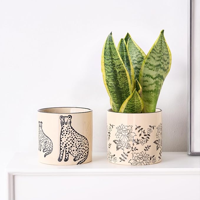 STHIE 5 Inch Ceramic Planters for Indoor Plants, Funny Small Plant Pots with Drainage, Unique Decorative Cute Flower Pot Panthers Round Flowerpots