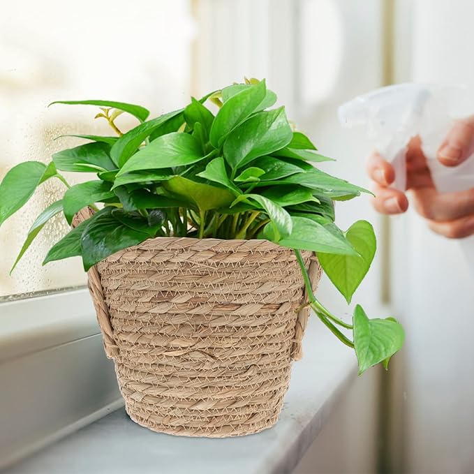 Alipis Seagrass Basket Planters Flower Pots with Plastic Liner, Plant Containers Storage Holder Wicker Rattan Vase with Handle