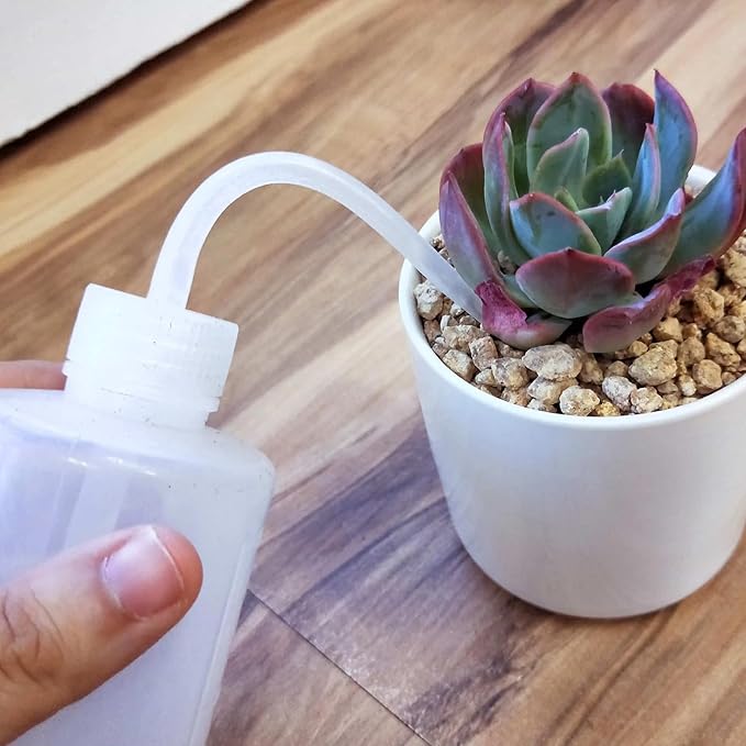 Succulent Tools Set,Plant repotting kit,repotting kit,Succulent Tools,Indoor Plant Tools,Succulent Tool kit,houseplant Tools,Plant Care kit,Indoor Plant Care kit, (Set of 7)