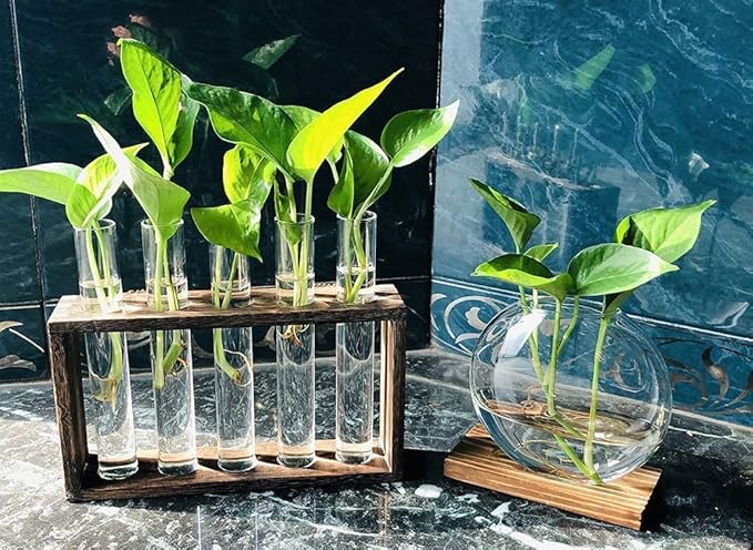 Wall Mounted Hanging Glass Test Tube Planter Propagation Station Glass Vase Rack with Wood Stand, Plant Terrarium Holder for Hydroponics Succulent Air Bamboo Plants with Test Tube