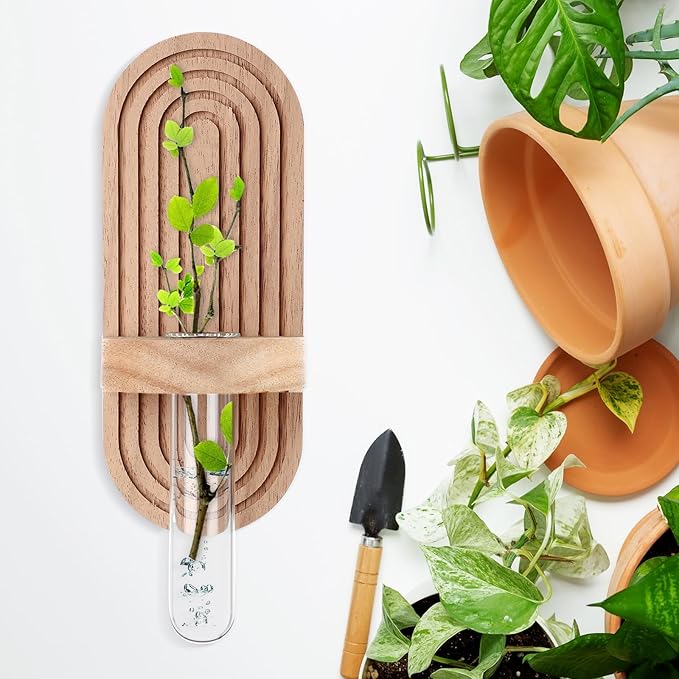 Beeveer 4 Sets Hanging Plant Propagation Stations Walnut Wood Wall Mounted Test Tube Vase Rustic Decorative Glass Planter Holder Gift for Women Plant Lover Hydroponic Flowers Home and Office Decor