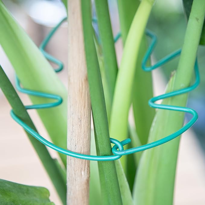 Yohsnor Monstera Plant Stem Support, 5-Pack Durable Indoor Stabilizer for Climbing Plants, 5.5x4.7 Inches Leaf Holder, for Plant Lovers, Enhance Your Indoor Garden