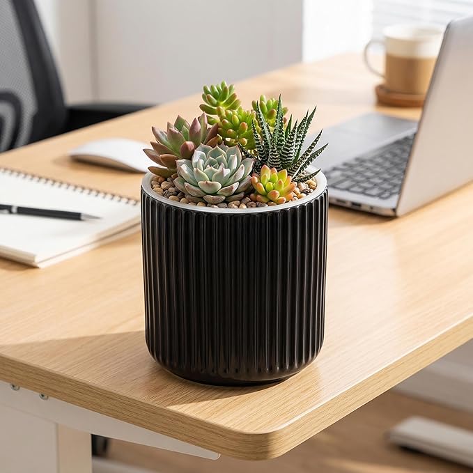 2 Pack of 4in Ceramic Cachepot with 4 inch Clear nusery Pot - self Watering Indoor Planter with Drainage for Root Visibility,semi Hydro pots for repotting Succulent,Black