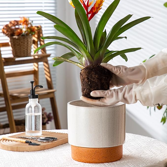 Self Watering Ceramic Planter: 8 Inch Plant Pot with Drainage Hole & Water Storage Plus for Outdoor & Indoor Plants, Succulents, Herbs - Flower Pot for Home or Office Decor - Retro Grey