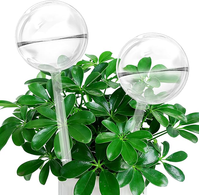 Self Watering Globes, Glass Clear Plant Watering Globes, Self Watering Planter Insert for Indoor & Outdoor Potted, Self Watering Planter Insert Spikes Devices for Everyday or Vacation Use, 2 Pack