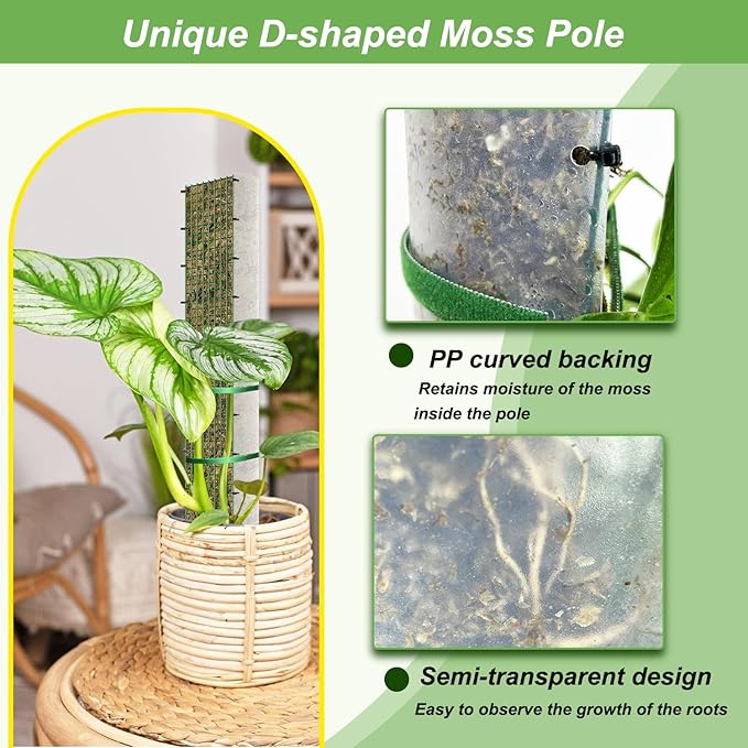 24" Metal Moss Pole, D Shape Sphagnum Moss Pole, Moss Poles for Climbing Plants, Monstera, Indoor Climbing Plants (2Pcs 24")