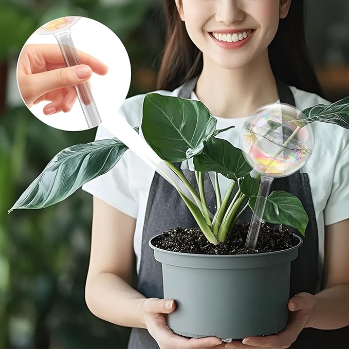 6 Pack Plant Watering Globes,Iridescent Rainbow Glass Self-Watering Bulbs,Large Watering Globe Planter Insert for Indoor & Outdoor Plants,DIY,Flowerpot,Hanging Plants,Home Garden