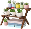 2 Tier Small Wood Plant Stand for Desktop, X-Frame Windowsill Plant Shelf Indoor, Table Top Mini Ladder Flower Pot Holder Display Rack for Succulent, Herbs, Decorations, Kitchen Spices