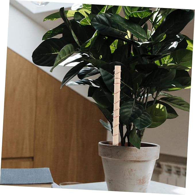 BESPORTBLE 2pcs Copper Wire Antenna Electroculture Gardening for Indoor and Outdoor Plants Lightweight Copper Coil for Signal Reception Suitable for Vegetables and Flowers