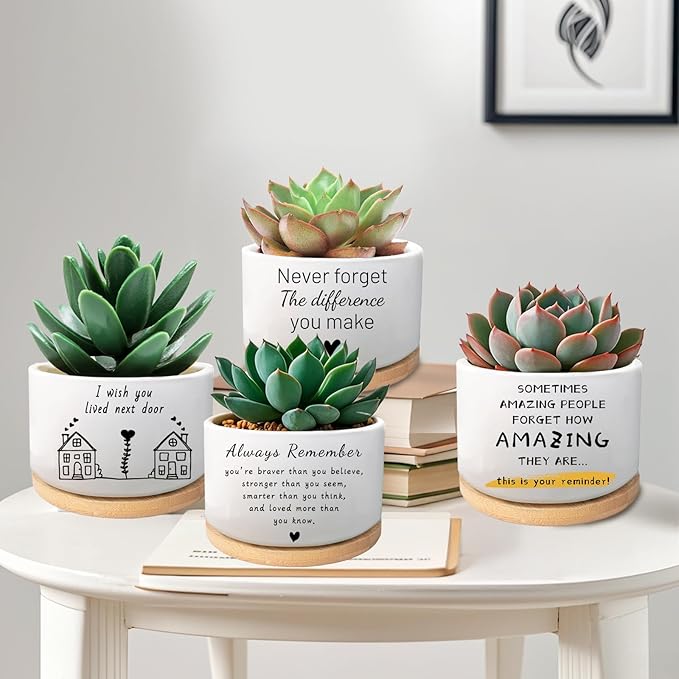 Funny Succulent Plant Pot, Thank You Gifts for Coworker Teacher, Cactus Flower Planter, Going Away Goodbye Appreciation Gifts for Women Men Friend Boss Manager (Plants Not Included)