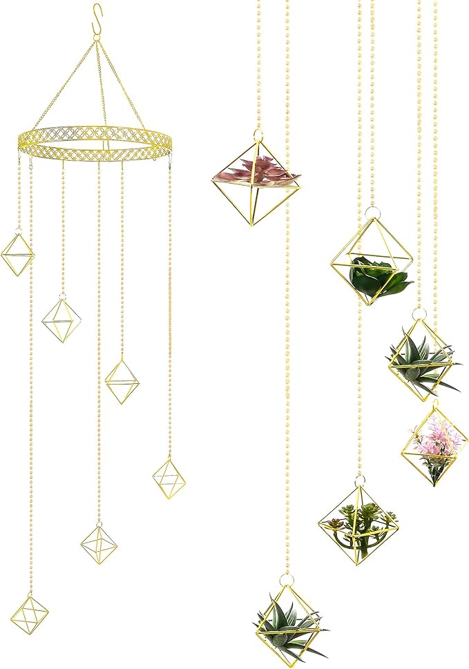 Willinglong 6 Pcs Hanging Air Plant Holder, Gold Tillandsia Air Plant Holders Unique, Airplants Live Holders, Air Fern Macrame Display for Indoor Home Office Ceiling Wall Decor