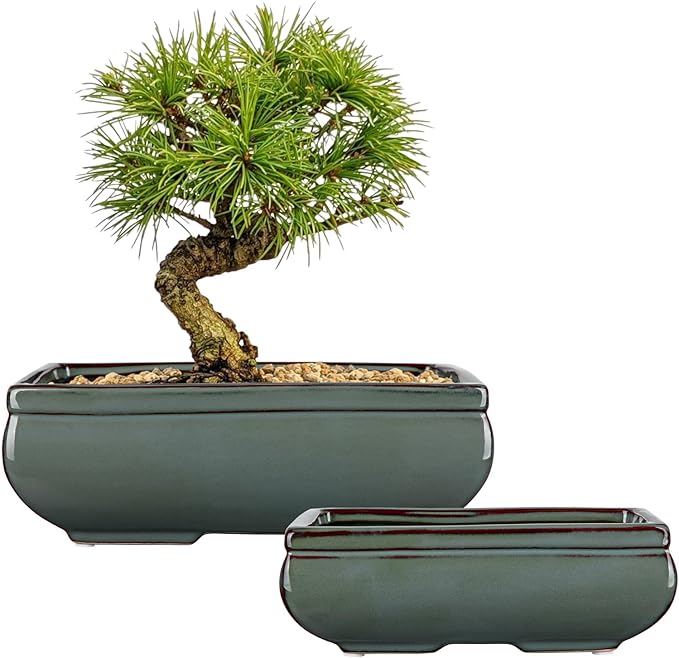 Set of 2 Green Glazed Ceramic Bonsai Pots, 9.8" & 7.4" Shallow Bonsai Pots Planters with Drainage for Indoor/Outdoor Plants, Rectangular Bonzie Tree Pot for Succulents, Cacti, Orchids, Herbs, Flowers
