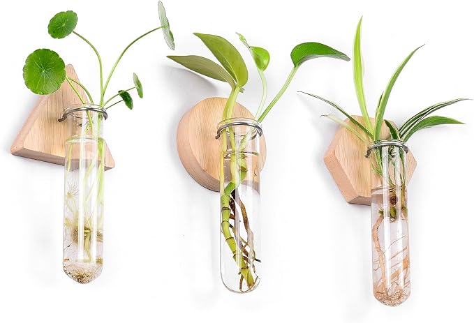 MITIME Wall Hanging Planter Glass Plant Propagation Station,Geometric Wooden Stand for Home Office Decoration.