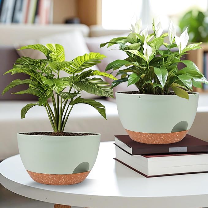 Vanslogreen Plant Pots 12inch Self Watering Pots, Set of 2 Plastic Planters with Drainage Holes and Saucers, Flower Pots for Indoor Outdoor Plants (Green)