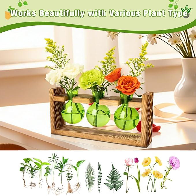 XXXFLOWER 3 Bulb Glass Propagation Station with Wooden Stand, Propagation Vase Propagated Plant Holders Tabletop Planter, Gardening Hydroponics Gift Home Office Indoor Decor (Green)