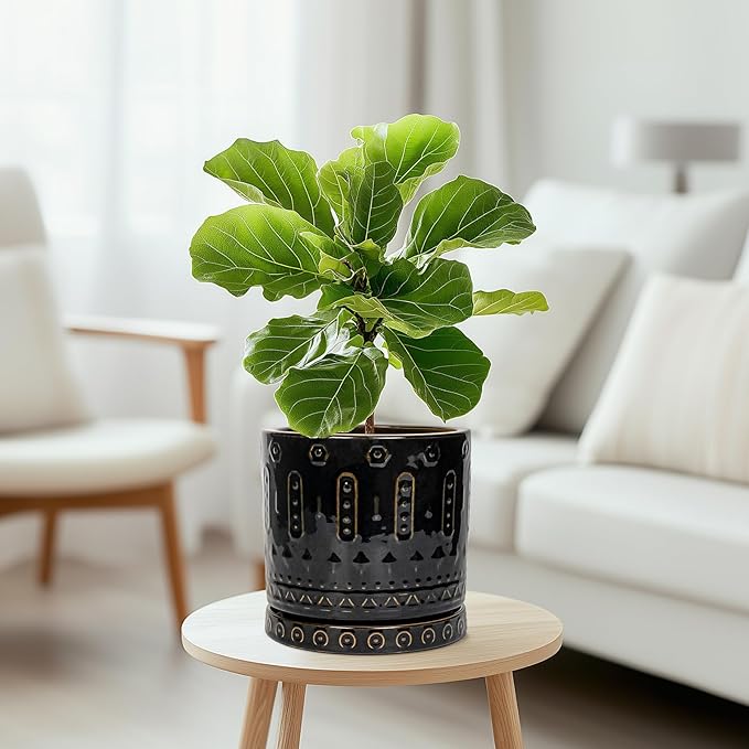Eightpot Ceramic Pot for Plants - 8 Inch Plant Pots Indoor with Drainage Hole and Saucer, Decorative Round Planter Outdoor, Boho Ceramic Planter for Flower, House Garden Decor, Gardening Gifts, Black