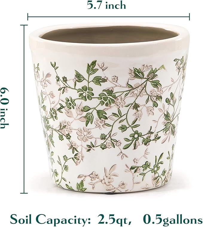 Teweiqi Ceramic Planter with Drainage Hole, Plastic Tray & Mesh, 6 Inch - Indoor/Outdoor Flower Pot for Orchids, Succulents, Green Floral Modern Farmhouse Décor for Home,Office and Garden, Ideal Gift