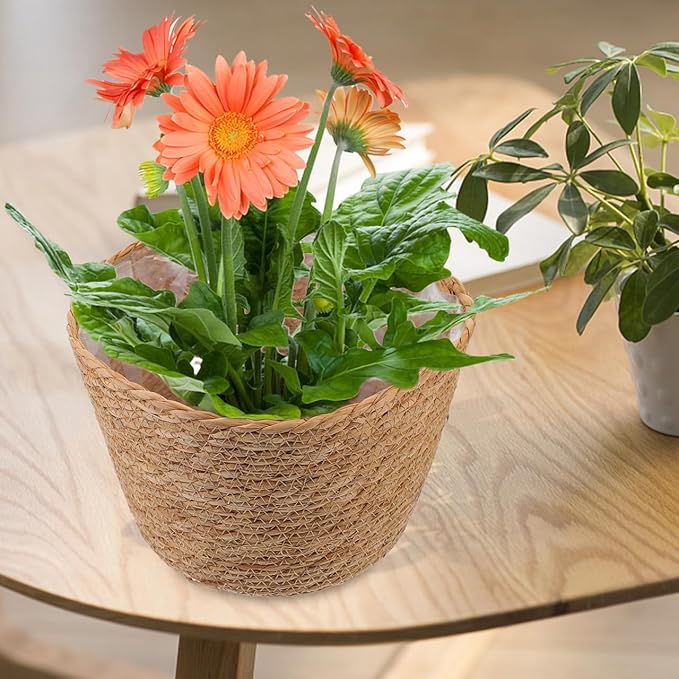 BESPORTBLE 2Pcs Hand Made Woven Flower Basket Durable Straw Decorative Planter Baskets for Home and Storage Classic Texture Design