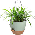 Vanslogreen Hanging Planters for Indoor Outdoor Plants, 1 Set Self Watering Hanging Pot with Drainage Holes & Removable Tray (Green-12inch, 12'')