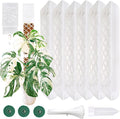 MIIIM 6 Pcs Self-Watering Moss Poles, D Shape Moss Pole Kit for Climbing Plants Indoor, Semi Transparent Monstera Plant Support, 69 Inches in Total Length