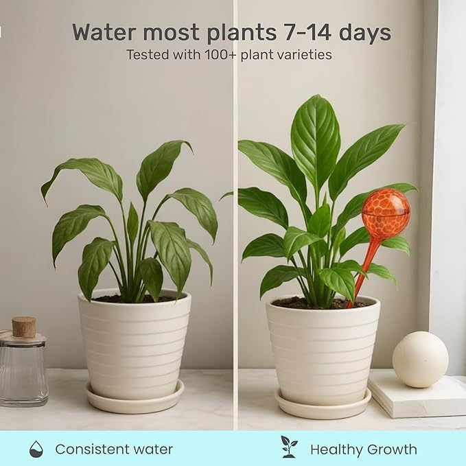 Little Green Leaf Automatic Plant Watering Globes Self Watering Planter Inserts 1 Pack | Hands Free Multicolor Glass Bulb | Planter Spikes to Support Indoor & Outdoor Plant Health (100ml)