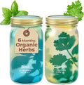 Modern Sprout Mason Garden Jar - Self-Watering Hydroponics Growing System Kit w/Organic Herb Seeds - Sprouting Jar Planter for Indoor Herb Garden - Seed Starter Kit - Decor & Gifting - Basil+Cilantro