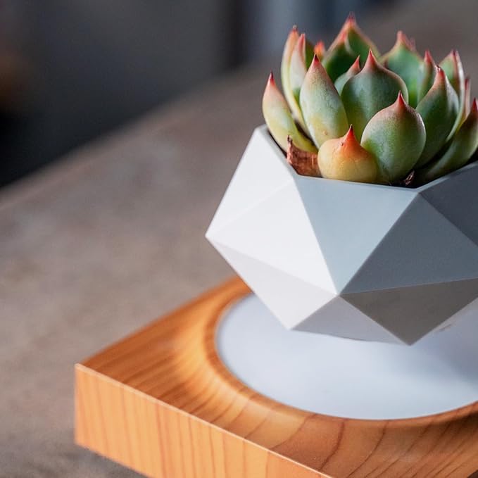 HCNT Levitation Air Bonsai Pot, Magnetic Levitating Mini Rotating Flower Pot Planters Suspension Floating Succulents Pot Sky-Garden Plant Potted for Home, Office