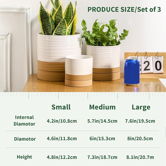 HASENSE Pots for Plants, 8+6+4.6 Inch Ceramic Plant Pots Indoors with Drainage Hole and Tray, White Planters Set for Outdoor Indoor Plants, Farmhouse Home and Office Decor, Set of 3