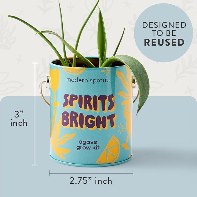 Modern Sprout Complimentary Seed Starter Grow Kits (Pack of 3) - Unique Gift for Plant Lovers - Includes Organic Spruce Eucalyptus and Agave Seeds - Plant and Gardening Gifts that Grows with Love