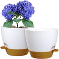 WSMKSZ 10 inch Self Watering Pots, 2 Pack Plastic Planters with Mesh Drainage Holes for Garden Plants, Plants Pots with Deep Reservoir for Indoor Outdoor Plants, White with Brown