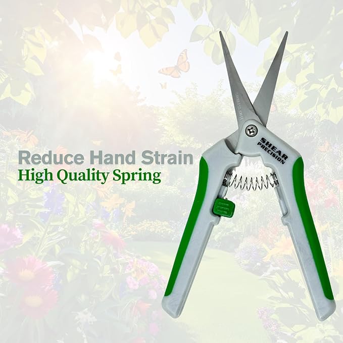 Generic Shear Precision 6.5 Inch Gardening Scissors Hand Pruner Pruning Shear with STRAIGHT Stainless Steel Blades 1-Pack