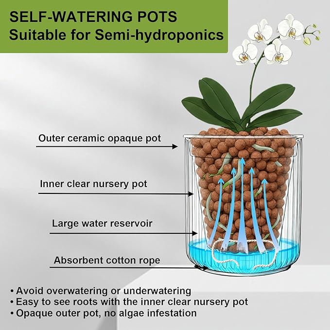 2 Pack of 6in Ceramic Cachepot with Clear Orchid Pot - self Watering Indoor Planter with Drainage for Root Visibility,semi Hydro pots for repotting Orchid,White