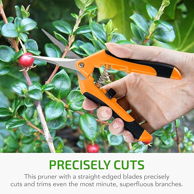 iPower 6-Pack 6.5 Inch Garden Hand Pruner Shears with Straight Stainless Steel Blades Scissors, for Hydroponic Trimming Herb/Flowers/Vegetables/Plants, Orange